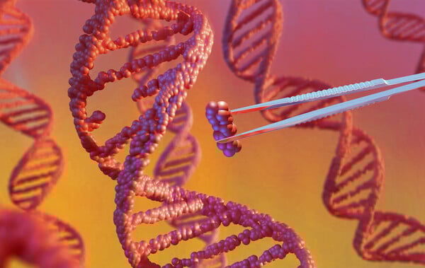 Αρχαίοι ιοί «μέσα» στο DNA μας ίσως διαμόρφωσαν την ανθρώπινη εξέλιξη, δείχνει νέα μελέτη