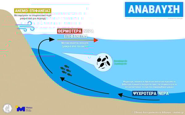 Γιατί η θάλασσα είναι κρύα τις τελευταίες ημέρες στο Ιόνιο, παρά τη ζέστη