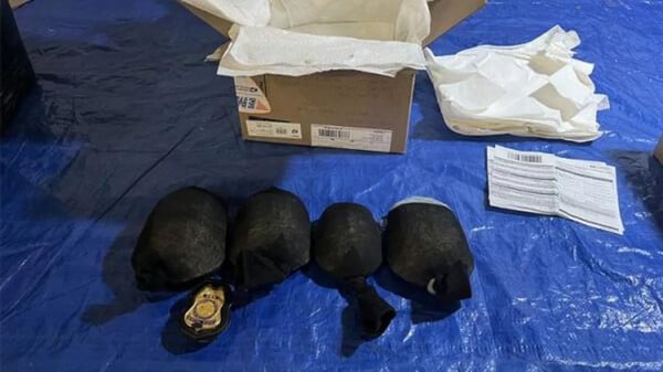 ΗΠΑ: Κινέζος ομολόγησε ότι έσειλε 850 προστατευμένες χελώνες στην Κίνα κρυμμένες σε κάλτσες