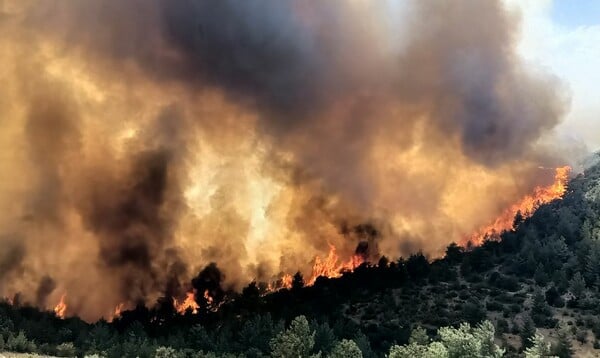 Καύσωνας και φωτιές σε Ισπανία και Τουρκία: Δεκάδες νεκροί, χιλιάδες εκκενώσεις