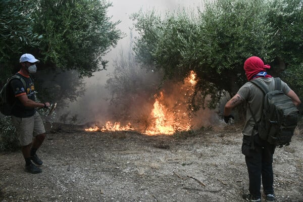 Φωτιές τώρα: Ανεξέλεγκτα μέτωπα σε Αχαΐα, Πρέβεζα, Χίο και Ζάκυνθο
