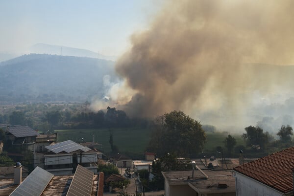 Φωτιές τώρα: Ανεξέλεγκτα μέτωπα σε Αχαΐα, Πρέβεζα, Χίο και Ζάκυνθο