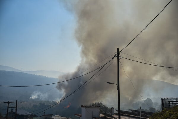 Φωτιές τώρα: Ανεξέλεγκτα μέτωπα σε Αχαΐα, Πρέβεζα, Χίο και Ζάκυνθο