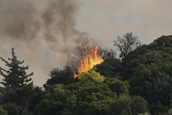 Φωτιές τώρα: Ανεξέλεγκτα μέτωπα σε Αχαΐα, Πρέβεζα, Χίο και Ζάκυνθο