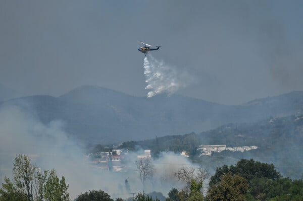 Φωτιά τώρα στην Ερμιόνη Αργολίδας
