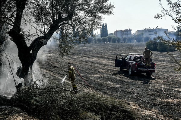 Φωτιές τώρα: Καταστροφή σε Πάτρα, Χίο, Πρέβεζα και Ζάκυνθο