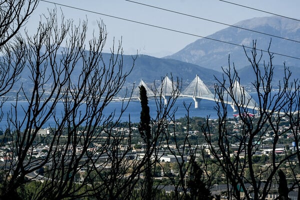 Φωτιές τώρα: Καταστροφή σε Πάτρα, Χίο, Πρέβεζα και Ζάκυνθο