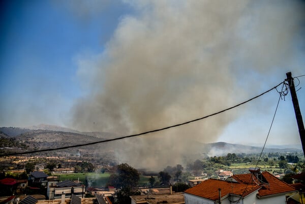 Φωτιές τώρα: Καταστροφή σε Πάτρα, Χίο, Πρέβεζα και Ζάκυνθο