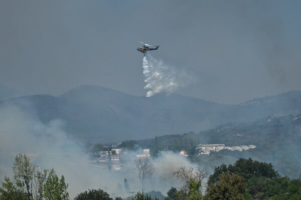 Φωτιές τώρα: Καταστροφή σε Πάτρα, Χίο, Πρέβεζα και Ζάκυνθο