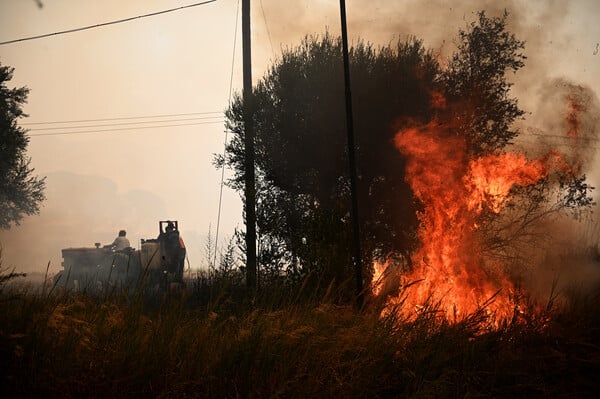 Φωτιά στην Πάτρα: Συνελήφθη 19χρονος - Ομολόγησε εμπρησμό