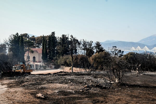 Φωτιά στην Πάτρα: Συνελήφθη 19χρονος - Ομολόγησε εμπρησμό