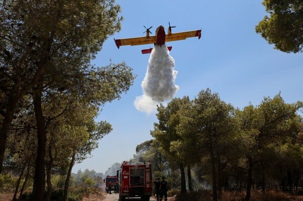 Φωτιά τώρα στην Αργολίδα - Επιχειρούν επτά εναέρια μέσα 