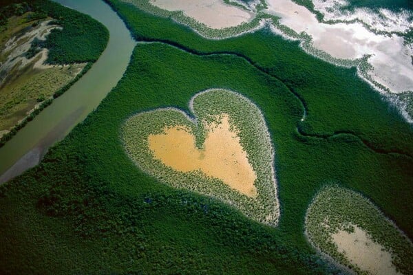 «The Heart of Voh»: