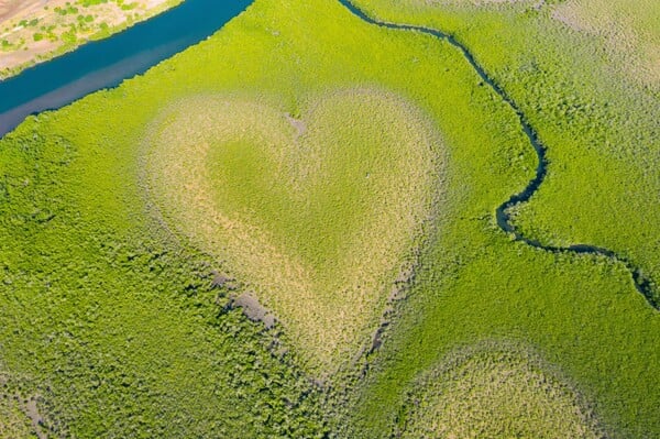 «The Heart of Voh»: 
