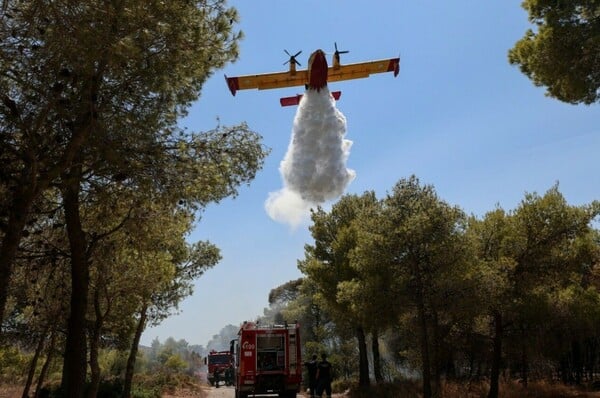 Φωτιά τώρα στη Μάνη