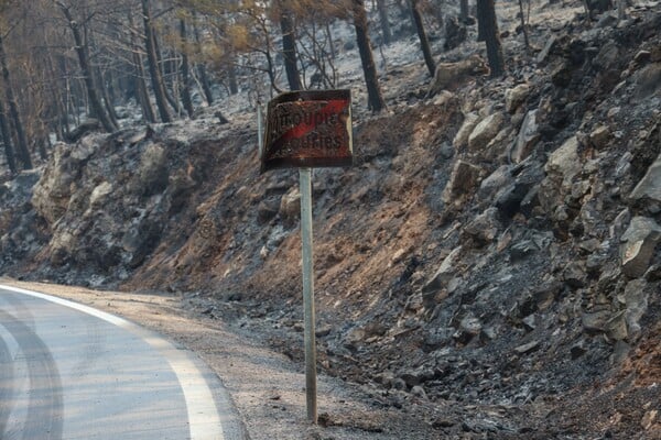 Chios Pass 2026: Ανακοινώθηκε νέο voucher για διακοπές στη Χίο
