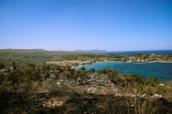 «Η μόνη καλλιέργεια που σώθηκε είναι της καταναλωτικής πλάνης»