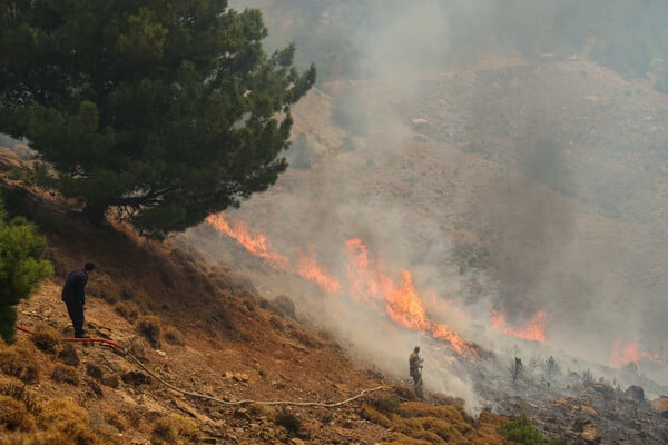 «Η μόνη καλλιέργεια που σώθηκε είναι της καταναλωτικής πλάνης»