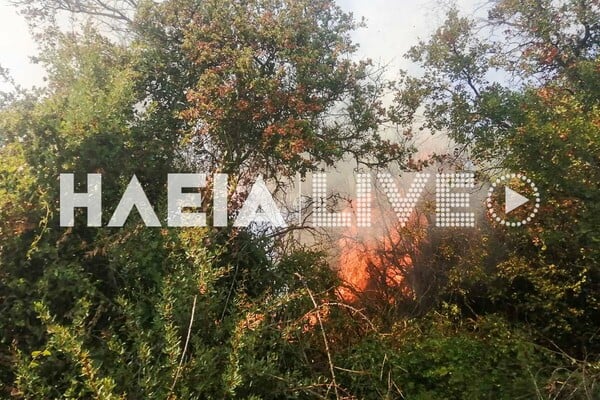 Ηλεία: Βελτιωμένη η εικόνα της φωτιάς - Σε εξέλιξη η κατάσβεσή της