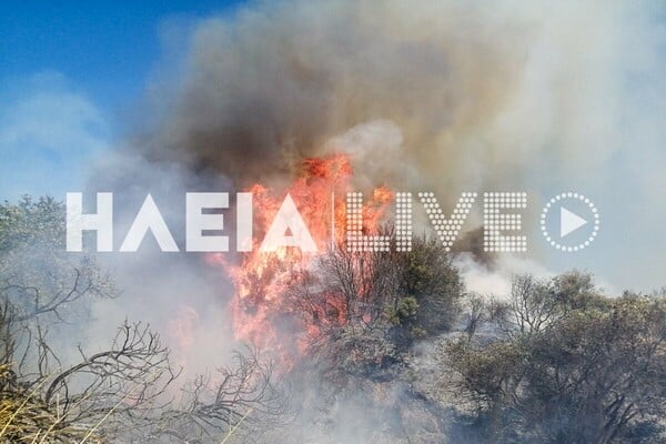 Φωτιά τώρα στην Ηλεία