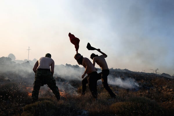 «Η μόνη καλλιέργεια που σώθηκε είναι της καταναλωτικής πλάνης»