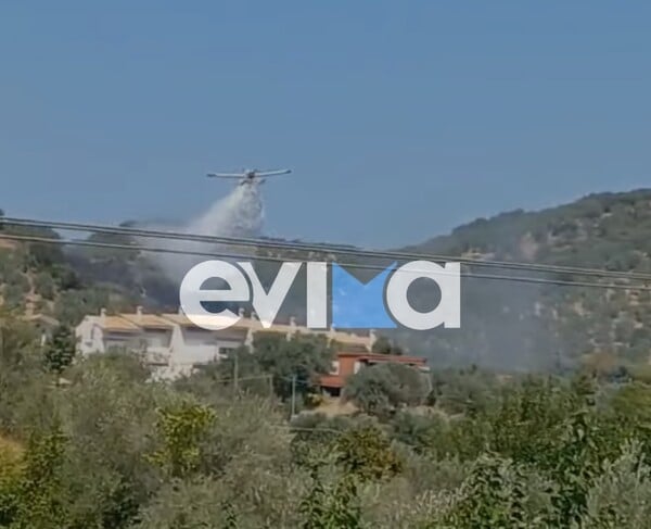 Φωτιά στην Εύβοια: Καίει κοντά σε σπίτια - Σε εξέλιξη οι προσπάθειες κατάσβεσης