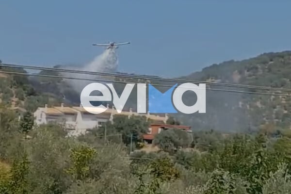 Φωτιά στην Εύβοια: Καίει κοντά σε σπίτια - Σε εξέλιξη οι προσπάθειες κατάσβεσης