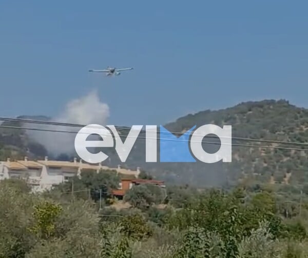 Φωτιά στην Εύβοια: Καίει κοντά σε σπίτια - Σε εξέλιξη οι προσπάθειες κατάσβεσης
