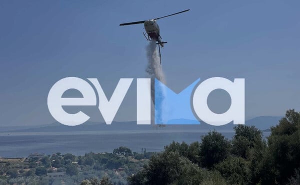 Εύβοια: Υπό έλεγχο το μέτωπο της φωτιάς - Οι φλόγες έφτασαν κοντά σε σπίτια