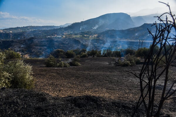 Φωτιές στην Πάτρα: Δορυφορικά δεδομένα δείχνουν αύξηση έως και 12°C στη θερμοκρασία εδάφους