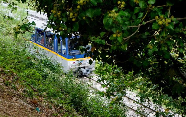 Καλάβρυτα: Ακινητοποιήθηκε σε δύσβατη περιοχή o Οδοντωτός - Σε εξέλιξη ο απεγκλωβισμός των επιβατών