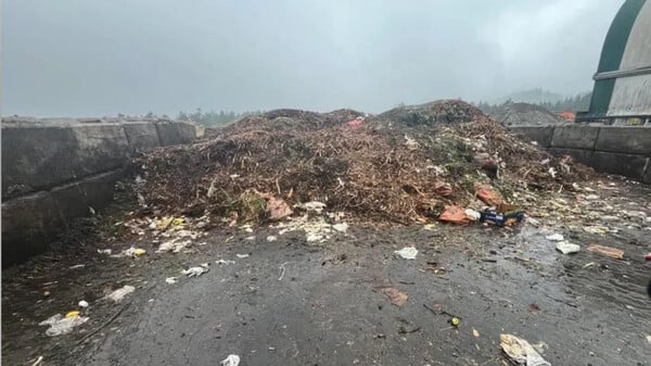 Βούτηξε μέσα σε 18 τόνους σκουπιδιών για να βρει τις βέρες της συζύγου του και τα κατάφερε