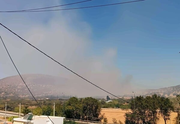 Φωτιά τώρα στην Παλαιοκαμάριζα Αττικής - Ήχησε το 112