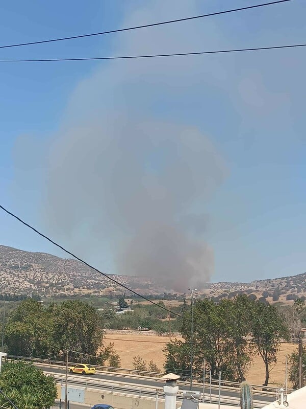 Φωτιά τώρα στην Παλαιοκαμάριζα Αττικής - Ήχησε το 112