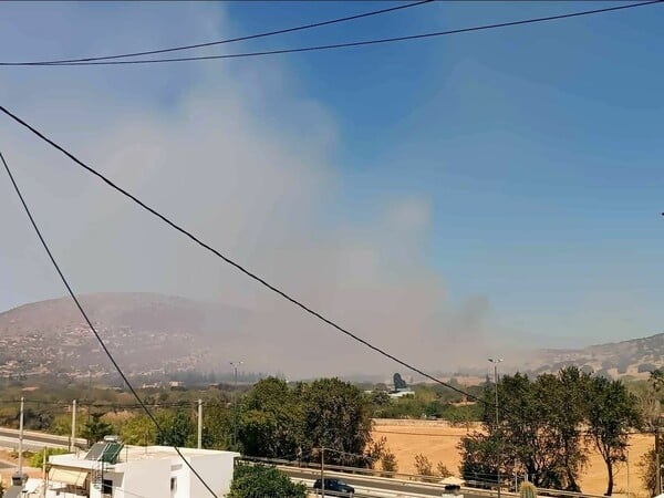 Φωτιά τώρα στην Παλαιοκαμάριζα Αττικής - Ήχησε το 112
