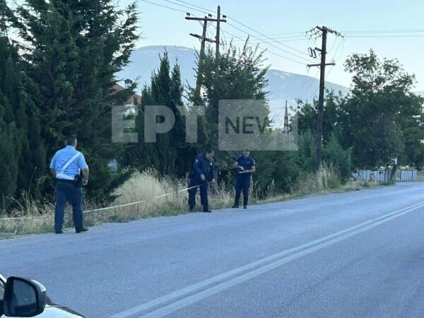 ΚΑΣΤΟΡΙΑ