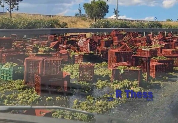 ΣΤΑΦΥΛΙΑ ΤΡΟΧΑΙΟ ΘΕΣΣΑΛΟΝΙΚΗ