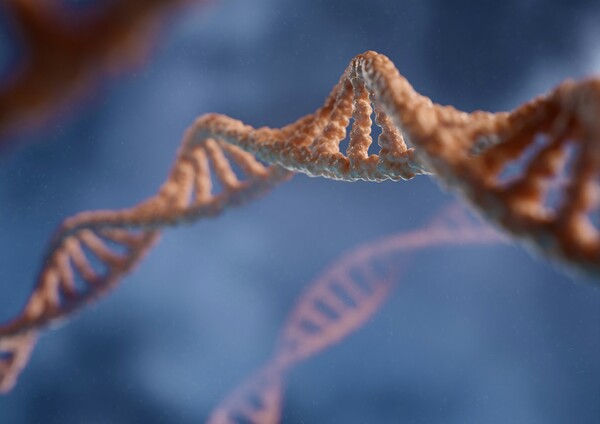 Αρχαίο DNA αποκαλύπτει το βακτήριο που προκάλεσε την πρώτη πανδημία στην ιστορία
