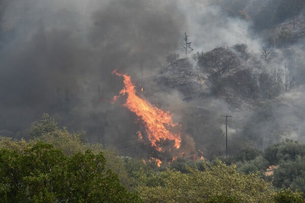 Meteo: Φέτος κάηκαν συνολικά 473.930 στρέμματα - Οι 8 μεγαλύτερες πυρκαγιές του 2025 