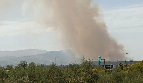 Αχαΐα: Μαίνεται η μεγάλη φωτιά στο Άλσος - Εκκενώνονται Μερτίδι και Λάκκα