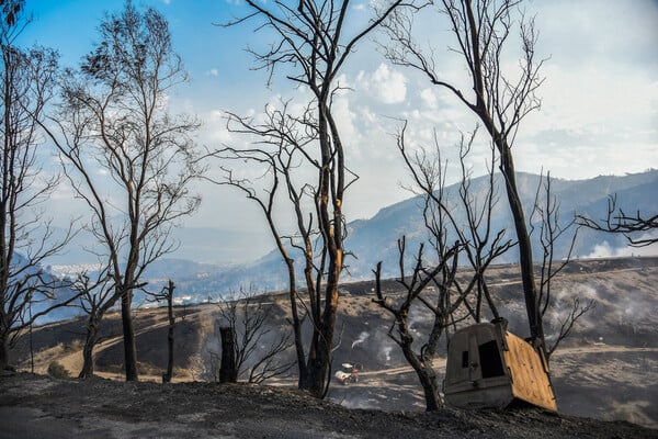 Η φωτιά στο Γηροκομείο Πατρών και οι δύο νεαροί που κατηγορούνται για εμπρησμό