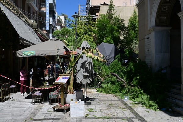 Πτώση μεγάλου δέντρου στο κέντρο της Αθήνας - Δύο τραυματίες 