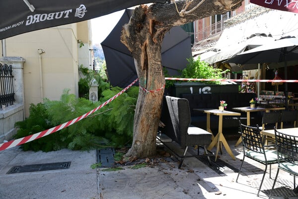 Η ανακοίνωση του Δήμου Αθηναίων για τον τραυματισμό δύο πολιτών από τις πτώσεις δέντρων
