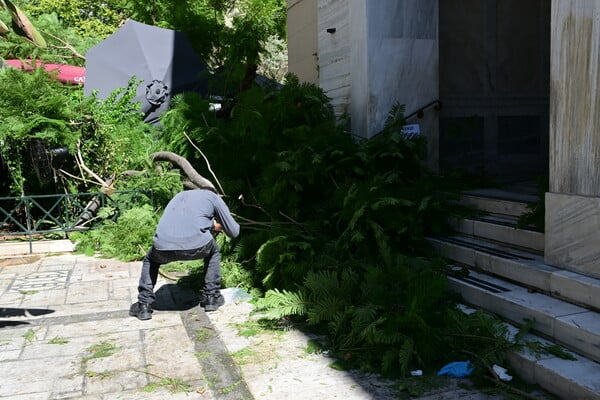 Η ανακοίνωση του Δήμου Αθηναίων για τον τραυματισμό δύο πολιτών από τις πτώσεις δέντρων