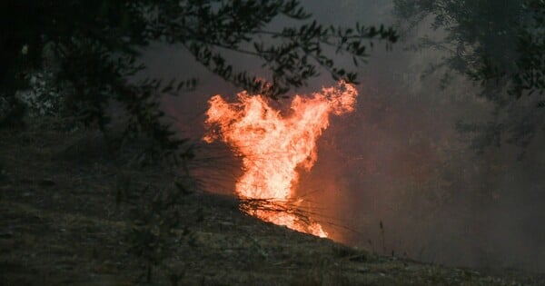 Φωτιά στην Αργολίδα: Μήνυμα του 112 για εκκένωση 