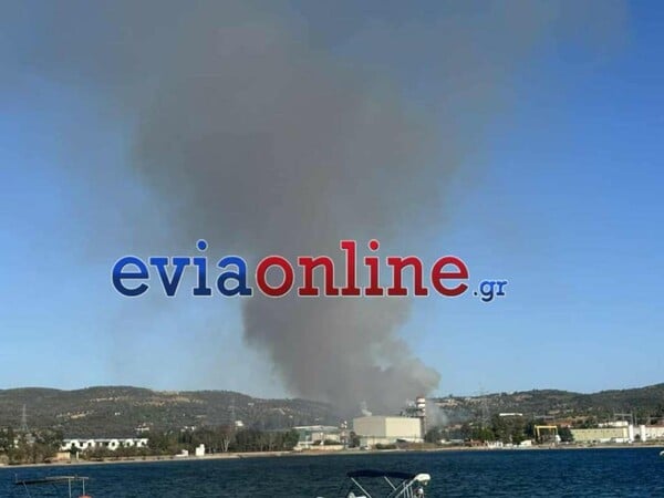 Εύβοια: Φωτιά τώρα στο Μηλάκι - Καίει κοντά σε εργοστάσιο