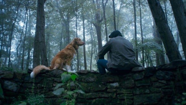 «Good Boy»: Ναι, ο σκύλος σας βλέπει φαντάσματα» ΟΙ ΥΠΟΛΟΙΠΟΙ ΤΙΤΛΟΙ ΣΤΟ ΤΕΛΟΣ ΤΟΥ ΚΕΙΜΕΝΟΥ