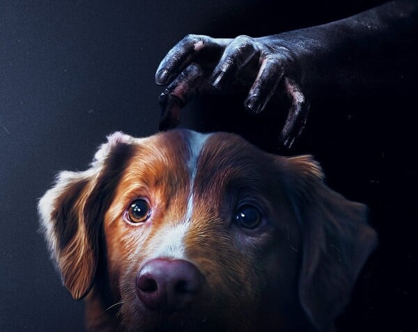 «Good Boy»: Ναι, ο σκύλος σας βλέπει φαντάσματα» ΟΙ ΥΠΟΛΟΙΠΟΙ ΤΙΤΛΟΙ ΣΤΟ ΤΕΛΟΣ ΤΟΥ ΚΕΙΜΕΝΟΥ