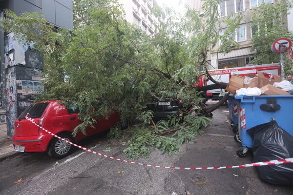 Δέντρο ξεριζώθηκε και τραυμάτισε μοτοσικλετιστή στο κέντρο της Αθήνας