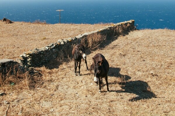 Η κρίσιμη καμπή για το τοπίο των Κυκλάδων